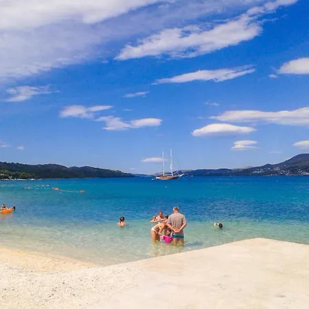Sunflower By The Sea