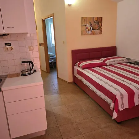 Sunflower By The Sea