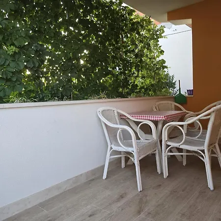 Sunflower By The Sea *