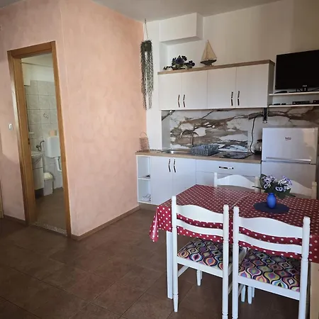 Sunflower By The Sea *