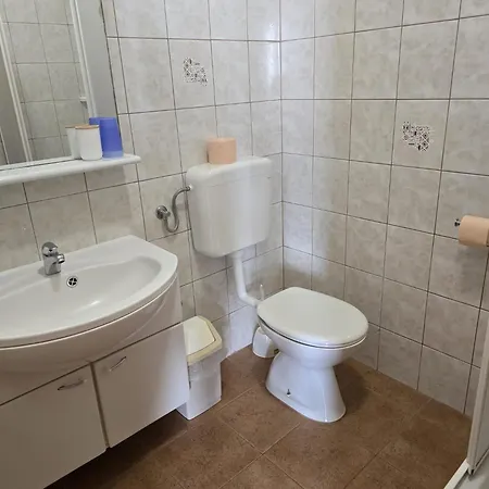 Sunflower By The Sea *