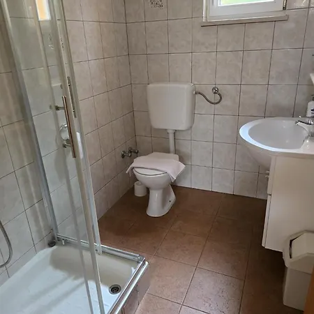 Sunflower By The Sea