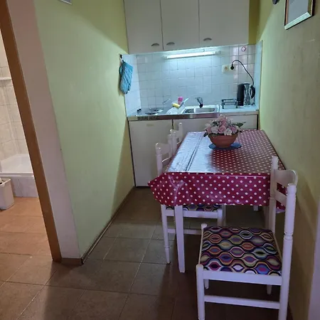 Sunflower By The Sea