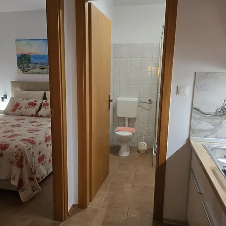 Sunflower By The Sea *