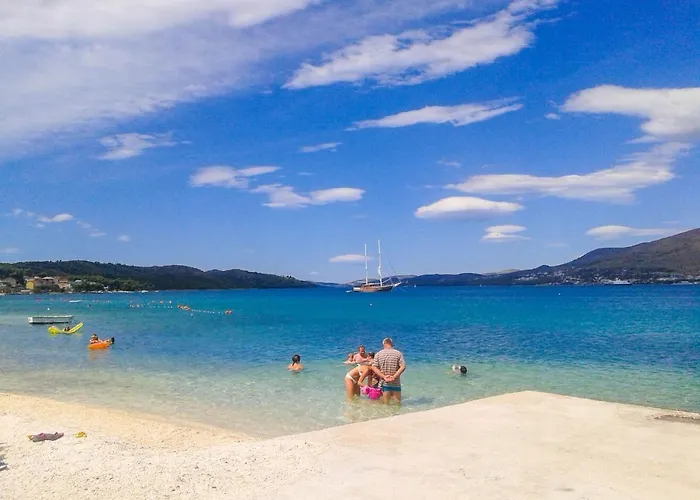 Sunflower By The Sea