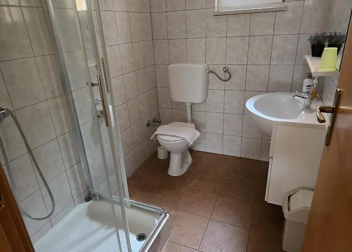 Sunflower By The Sea