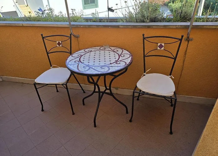 Sunflower By The Sea * 特罗吉尔