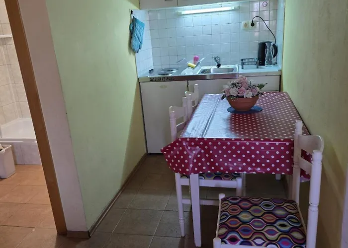 Sunflower By The Sea