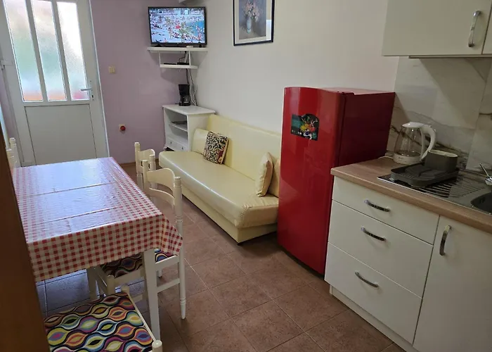 Sunflower By The Sea